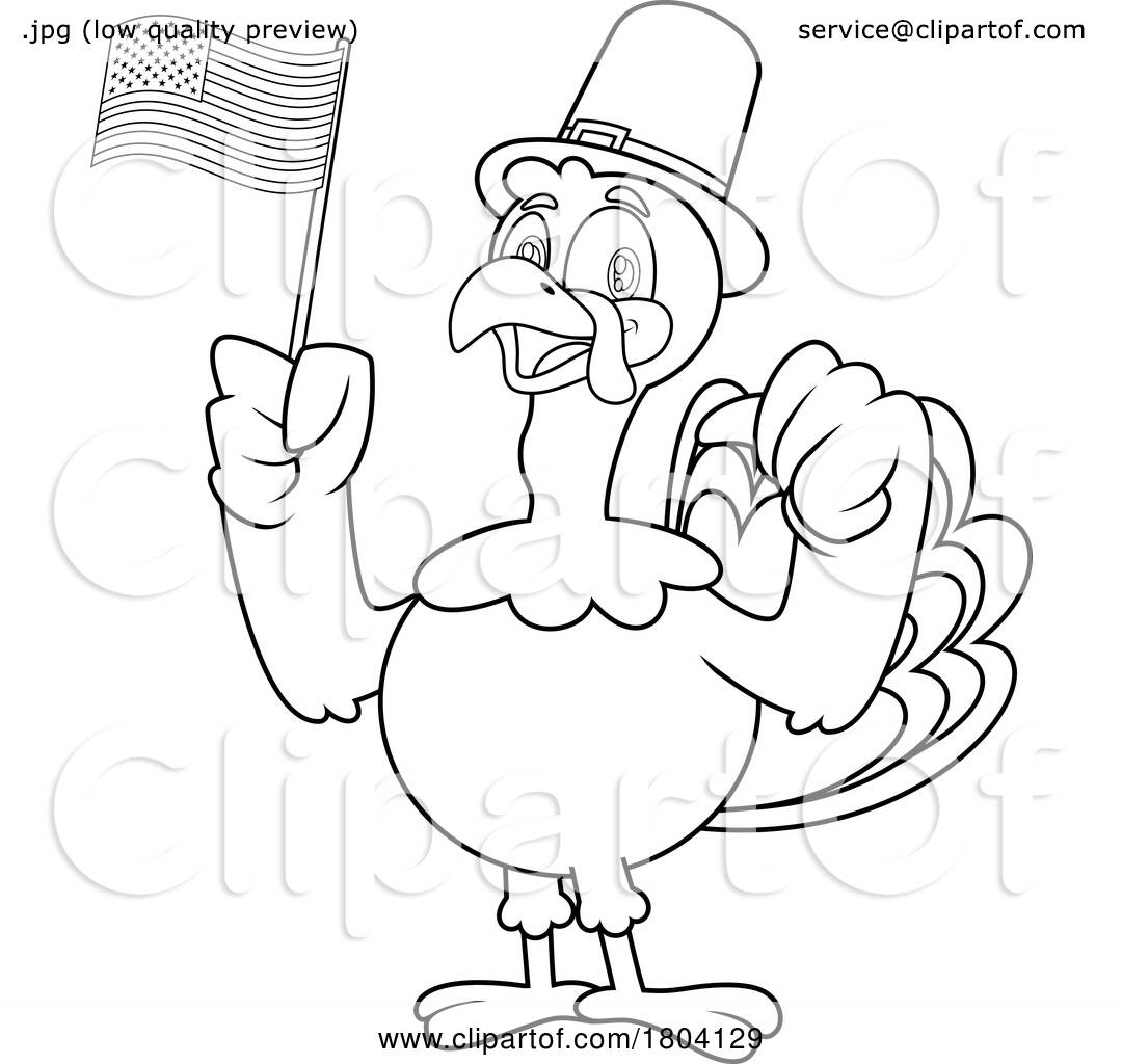 Cartoon black and white thanksgiving pilgrim turkey bird mascot with an american flag by hit toon