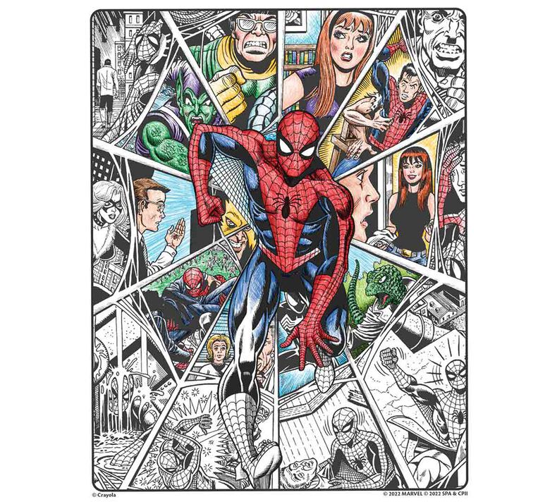 Spiderman art with edge adult coloring book