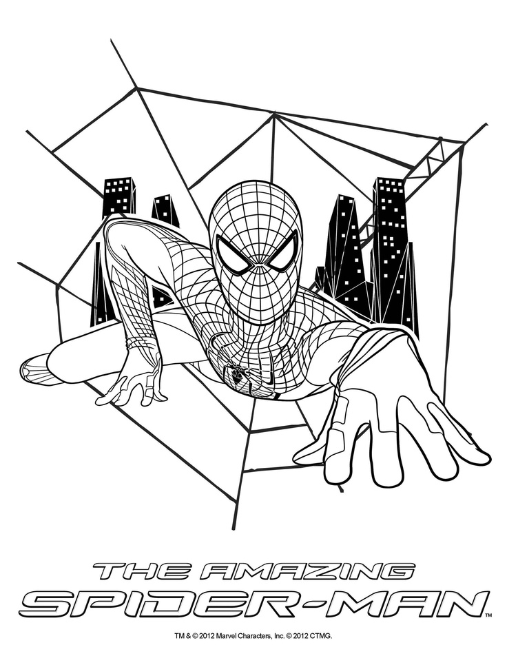 The amazing spider