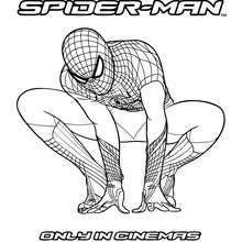 The amazing spiderman online coloring pages