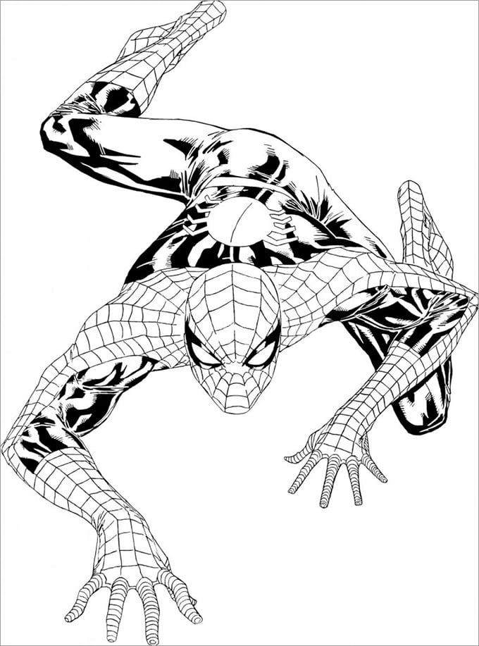 Spiderman colouring pages