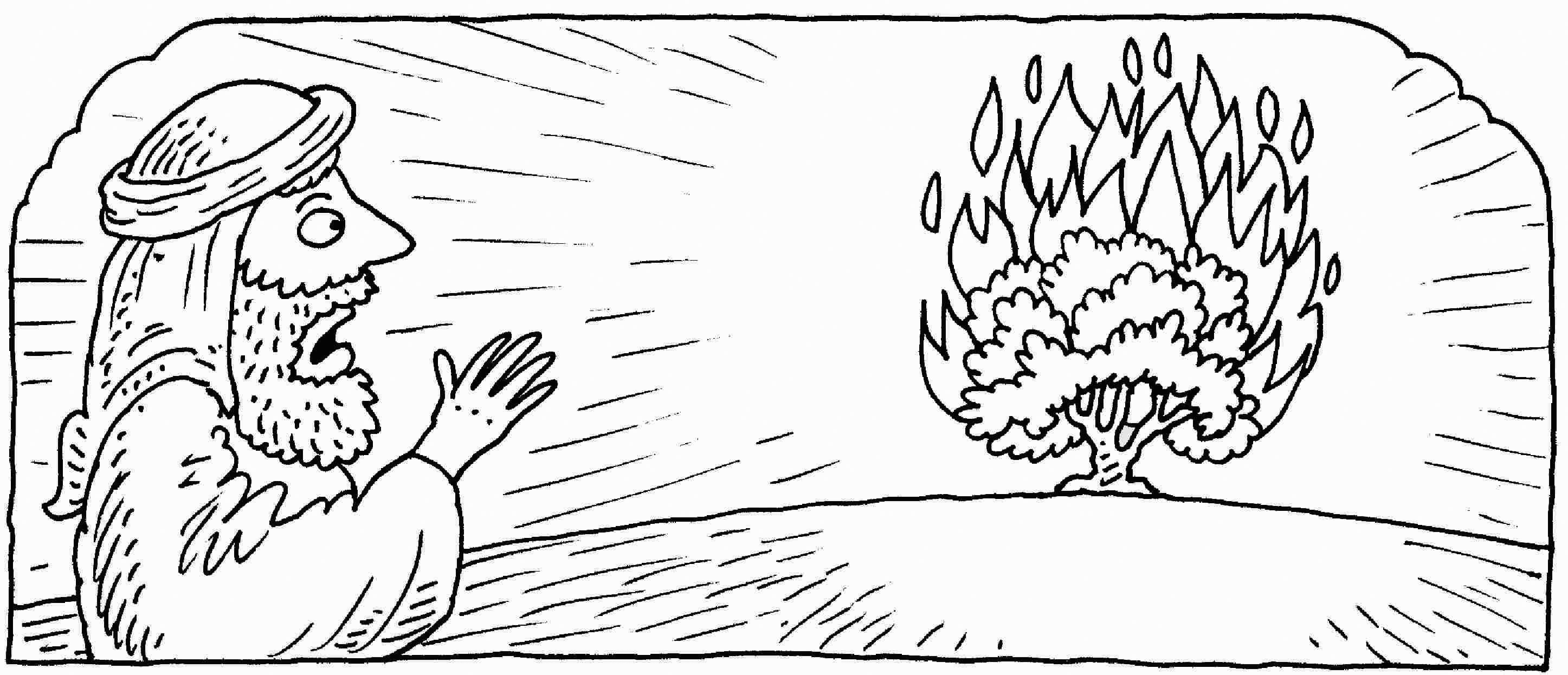 Burning bush coloring page