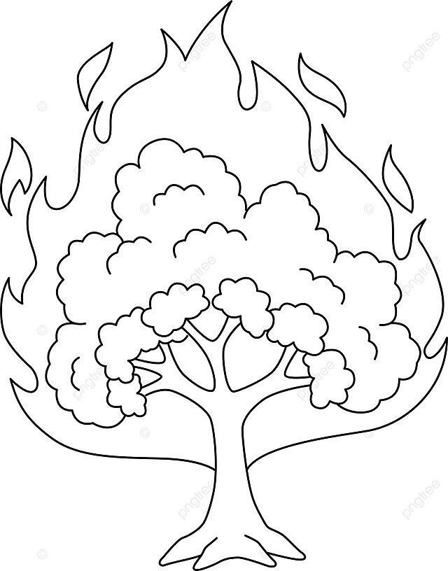 Burning bush isolated coloring page for kids colour christian coloring page vector colour christian coloring page png and vector with transparent background for free download