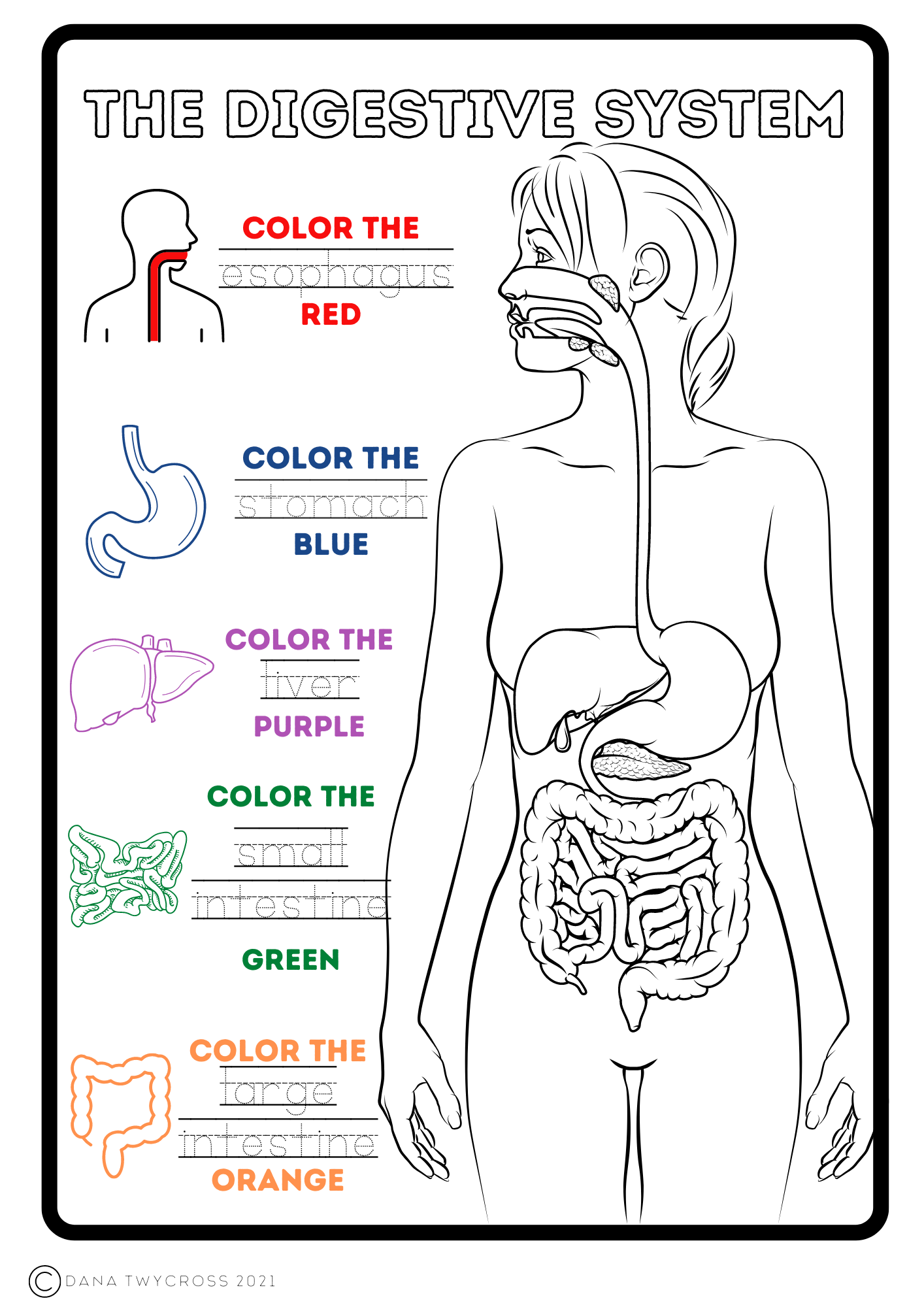 Small science digestion made by teachers