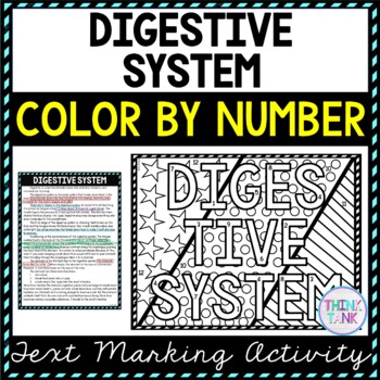 Digestive system color by number reading passage and text marking