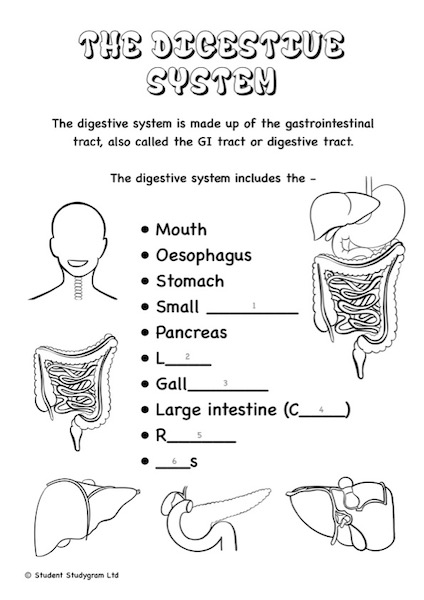 Healthcare students louring book a â student midwife studygram