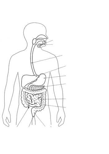 Ad digestive system for labelling teaching resources