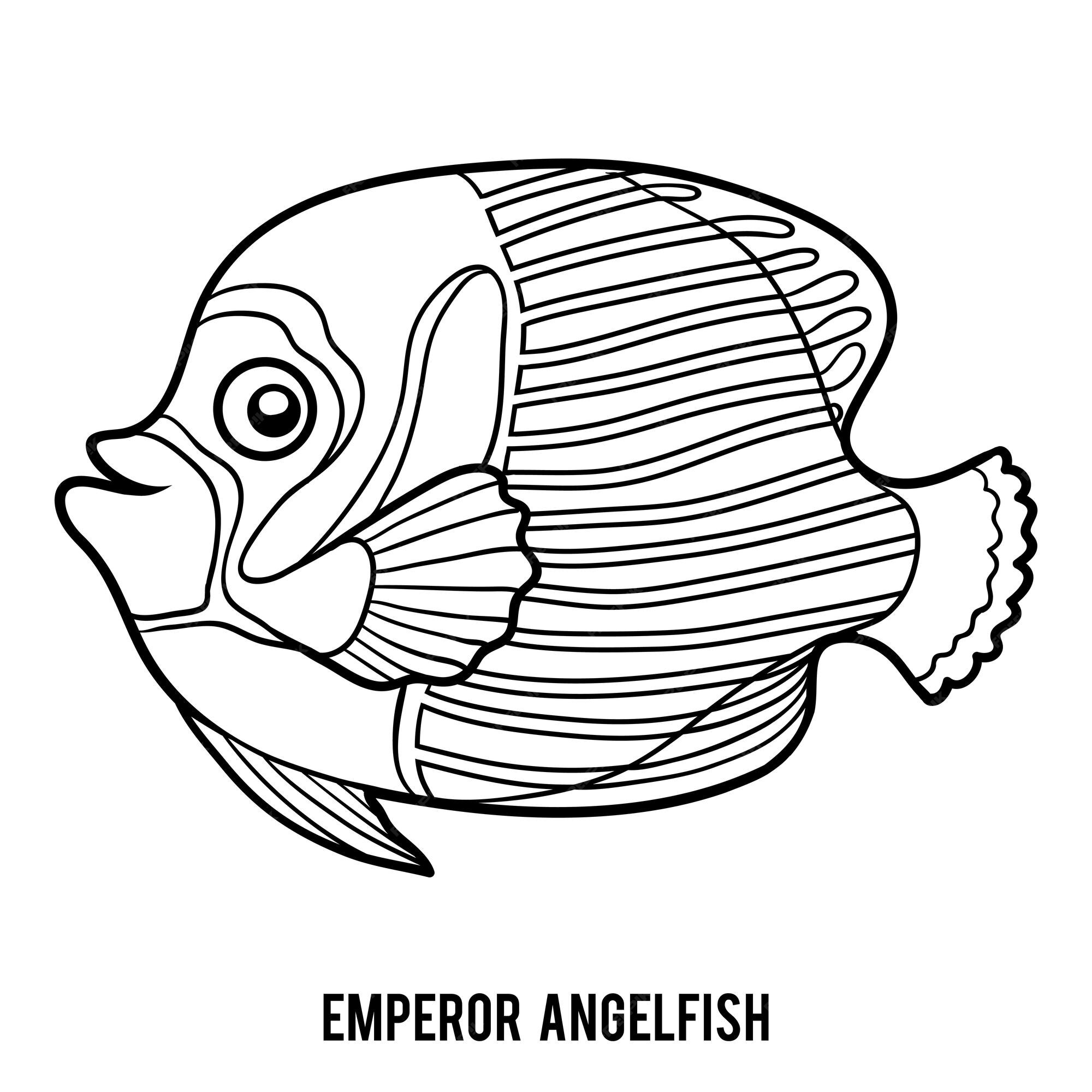 Premium vector coloring book for children emperor angelfish