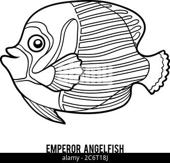 Coloring book for children emperor angelfish stock vector image art