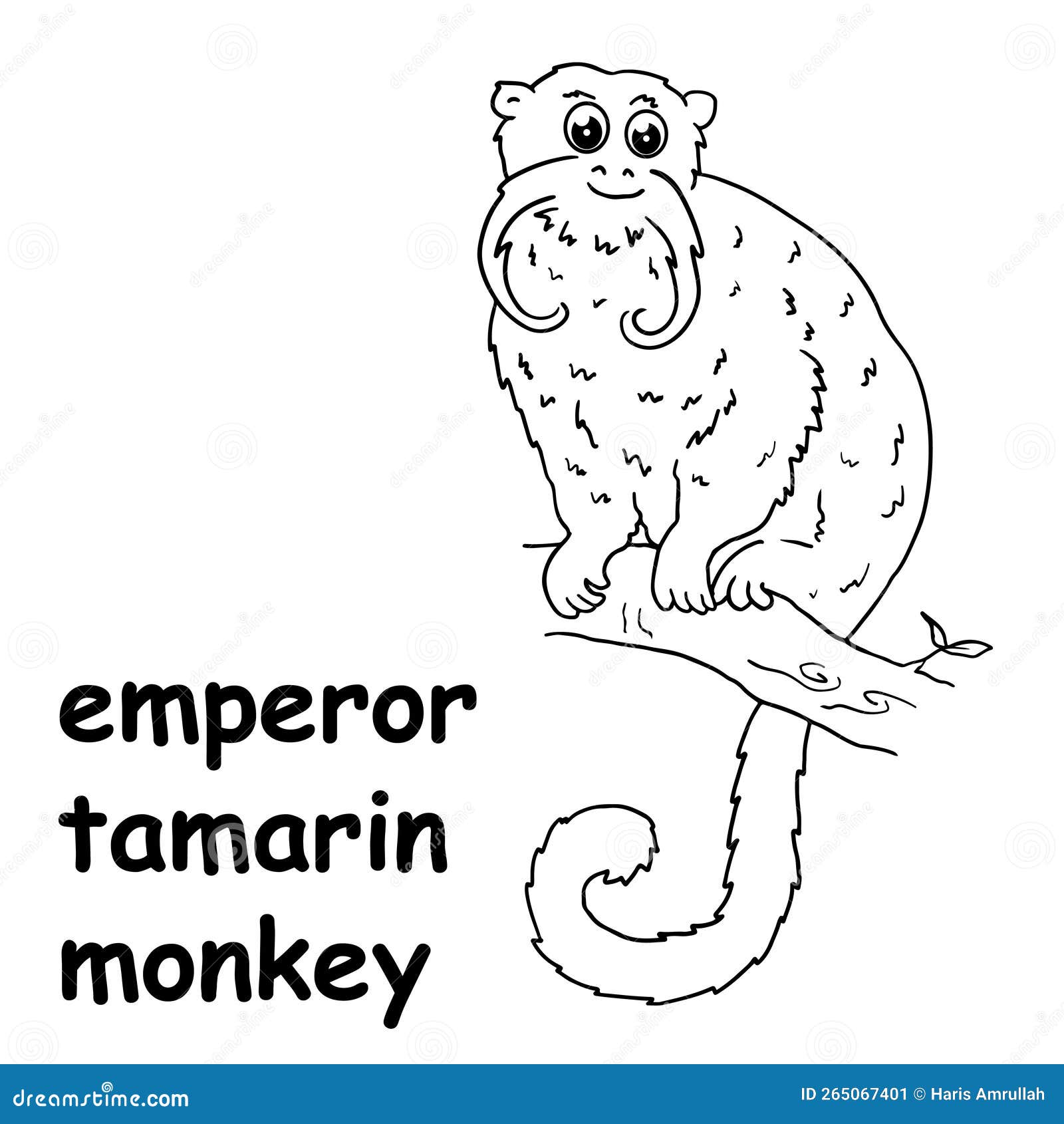 Kids line illustration coloring emperor tamarin monkey outline vector for children stock vector