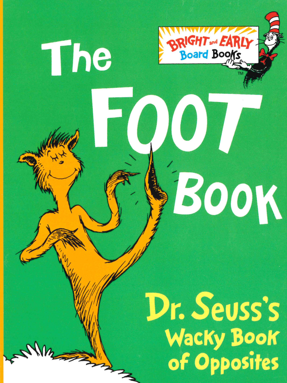 The foot book board book