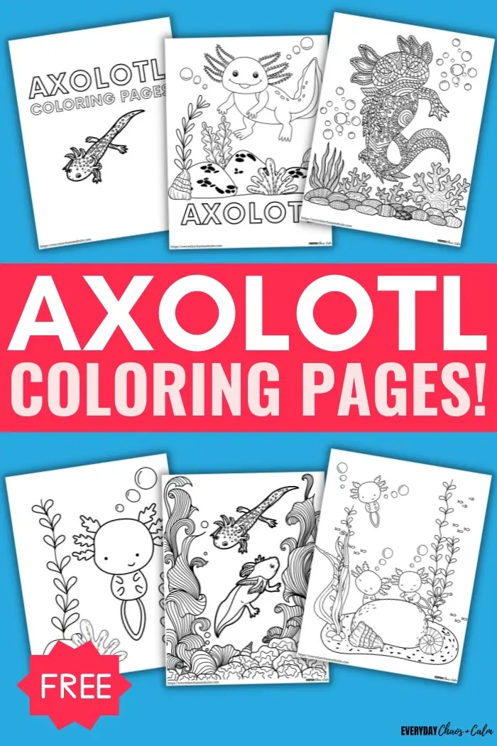 Free axolotl coloring pages pdf download