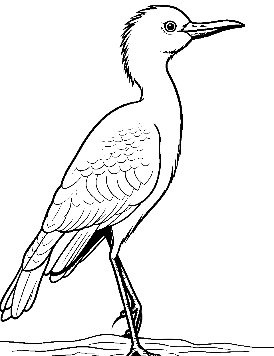 Bird coloring pages free printable sheets