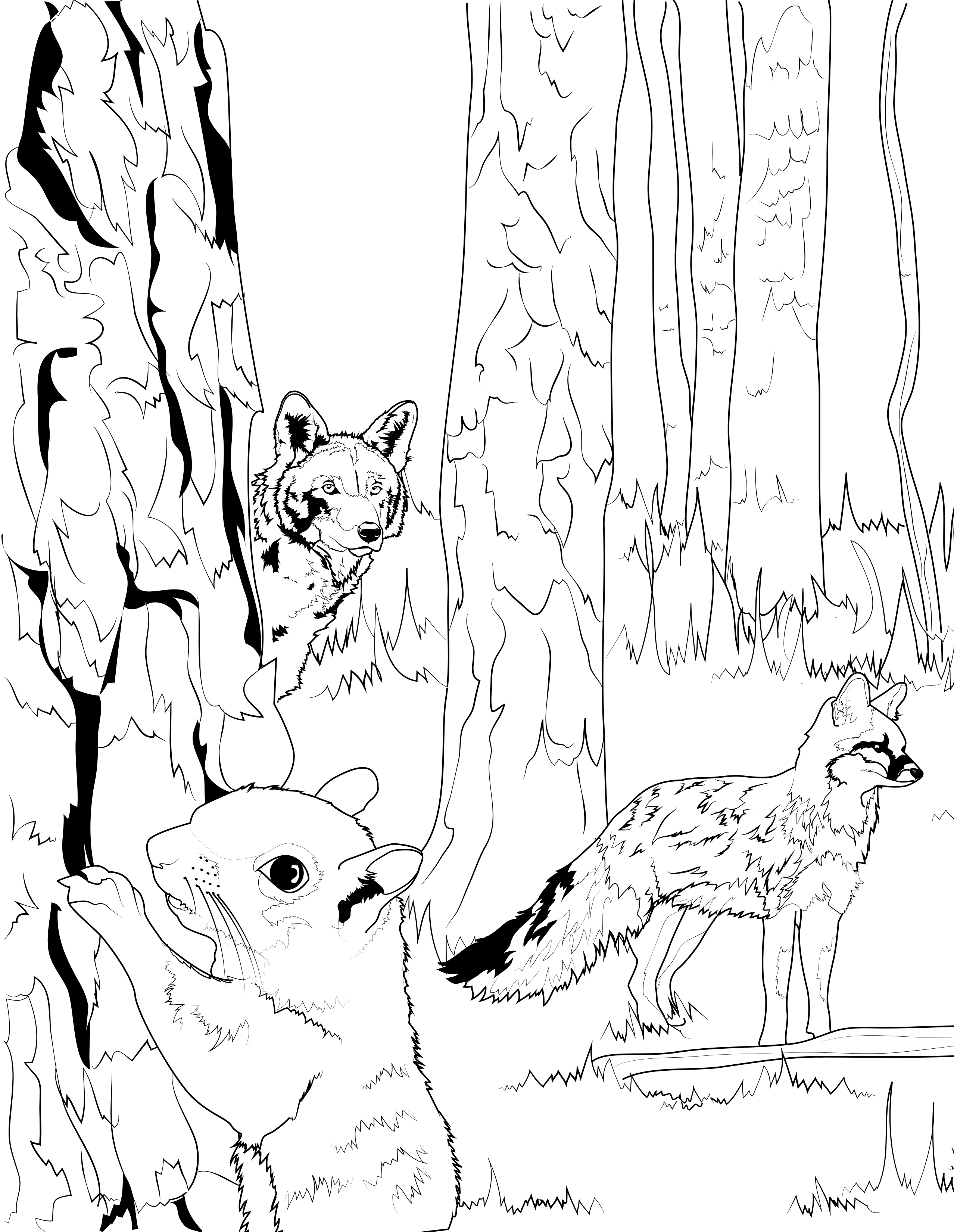 Four legged coloring pages â frisco native american museum