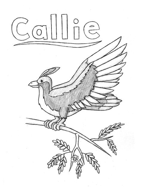 Callies bird by riverfox on