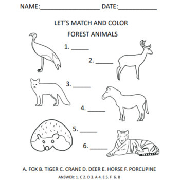 Forest animal printable matching and coloring sheet by smarty