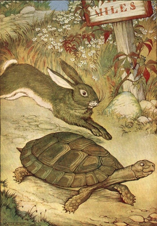 The hare and the tortoise childrens story our homework help