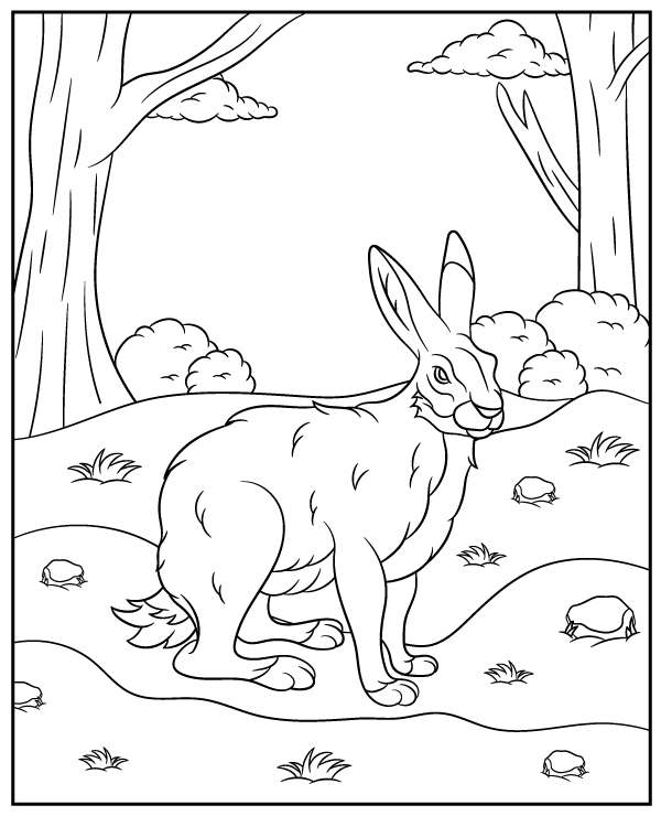 Wild hare coloring page sheet