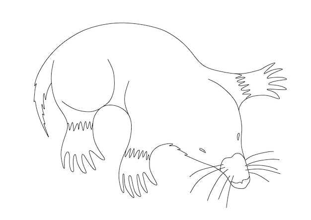 Premium vector coloring book with a mole on a white background