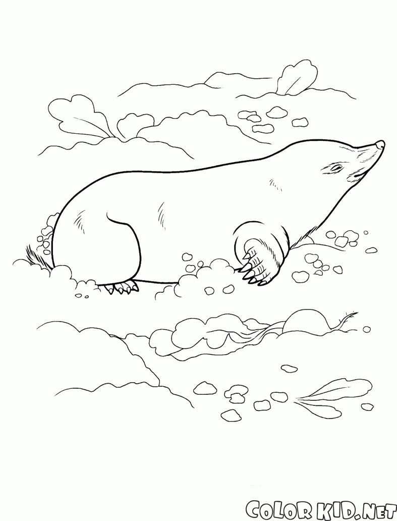 Coloring page