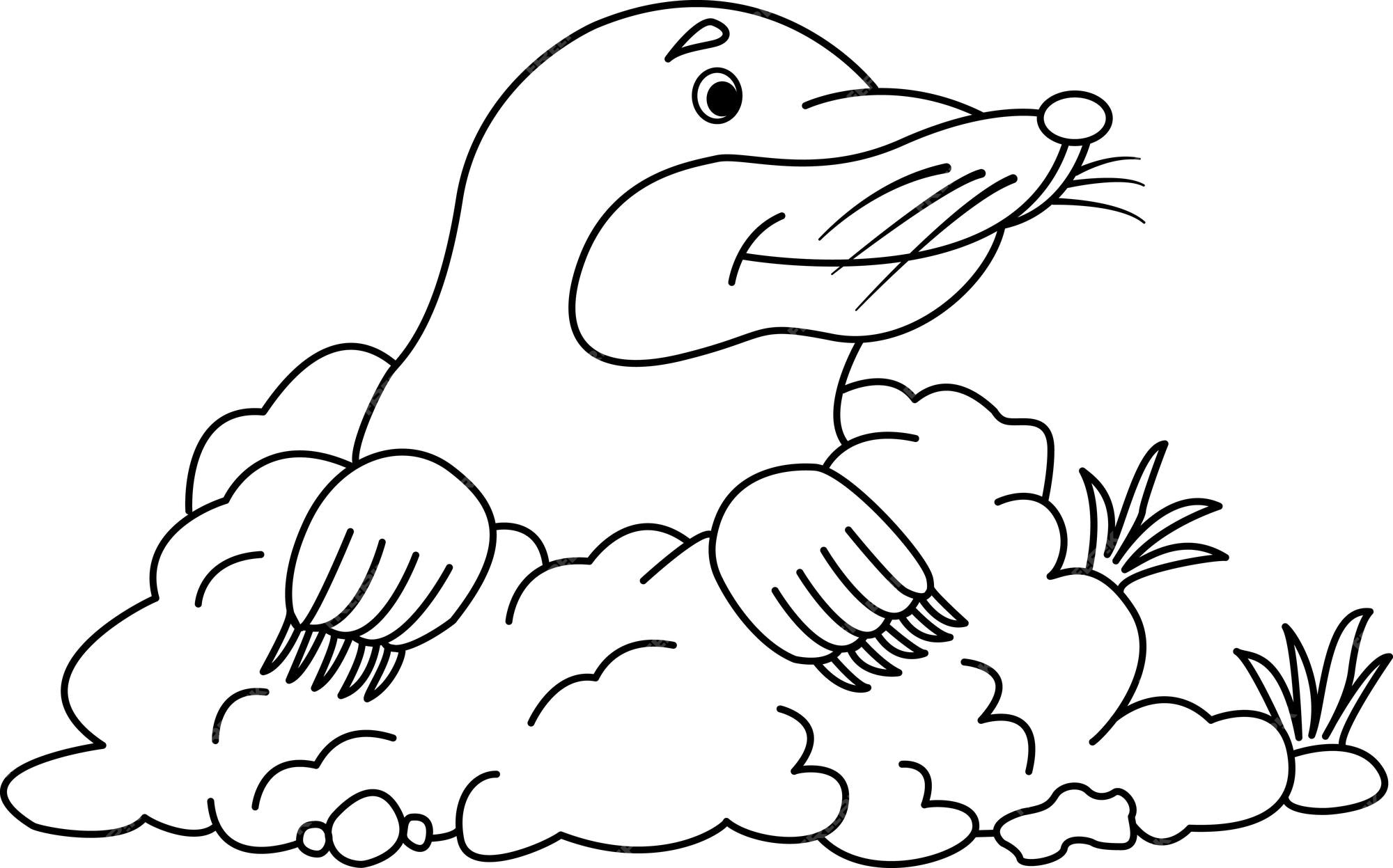 Premium vector cartoon cute mole for coloring page