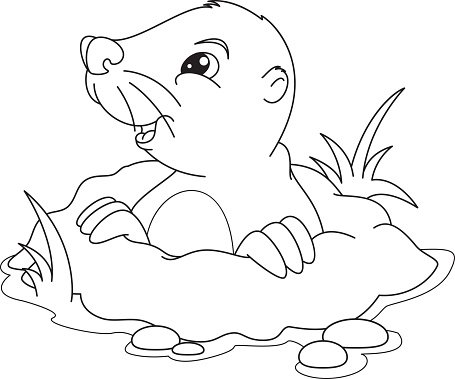 Mole coloring page stock clipart royalty