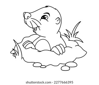 Mole coloring images stock photos d objects vectors