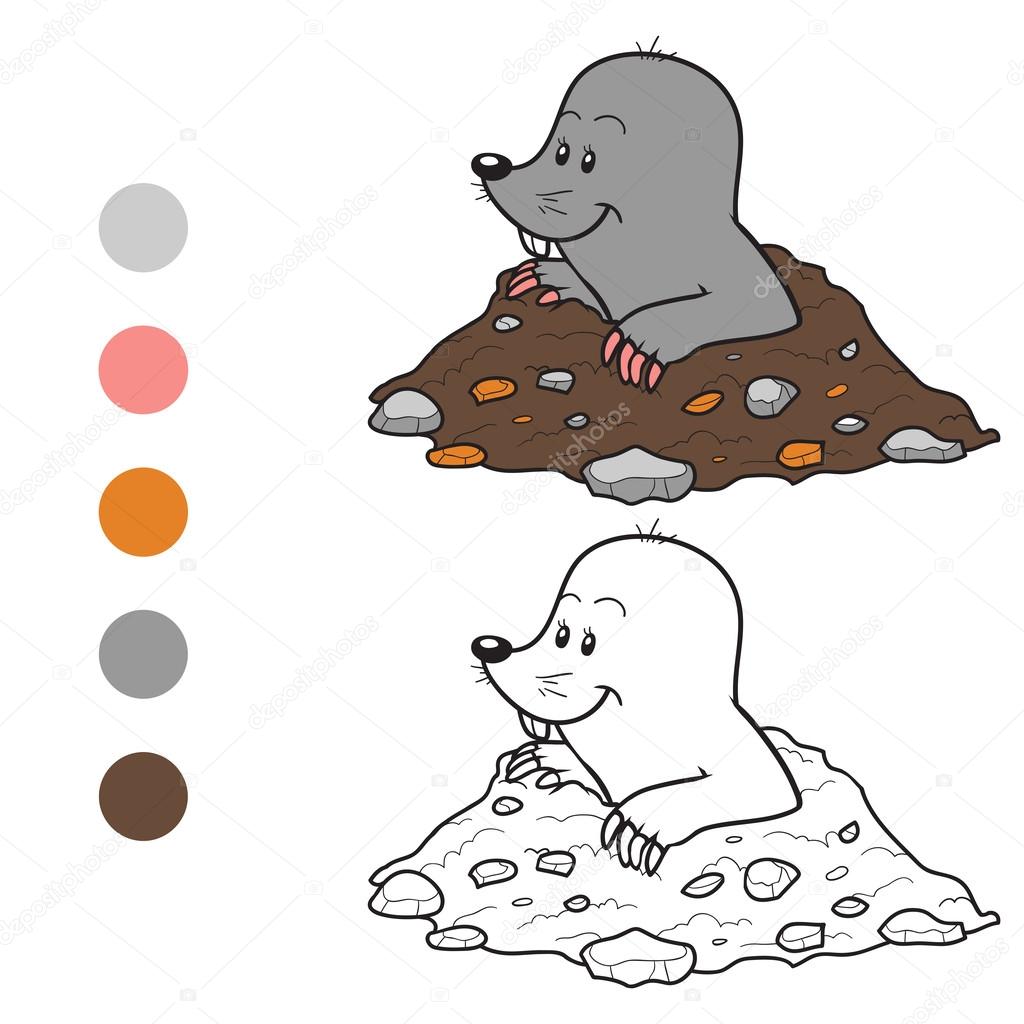 Coloring book mole stock vector by ksenyasavva