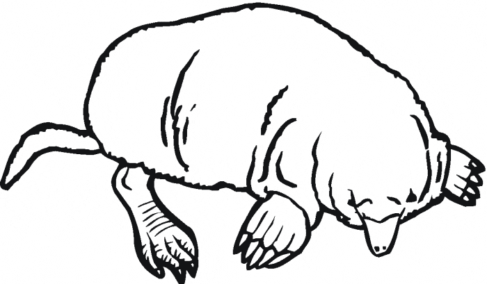 Mole coloring page