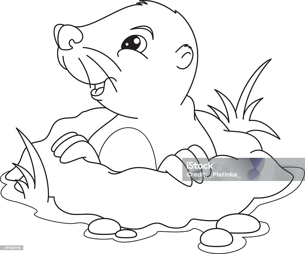 Mole coloring page stock illustration