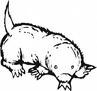 Mole coloring page