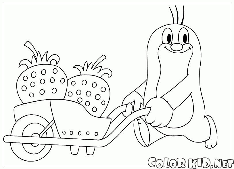 Coloring page