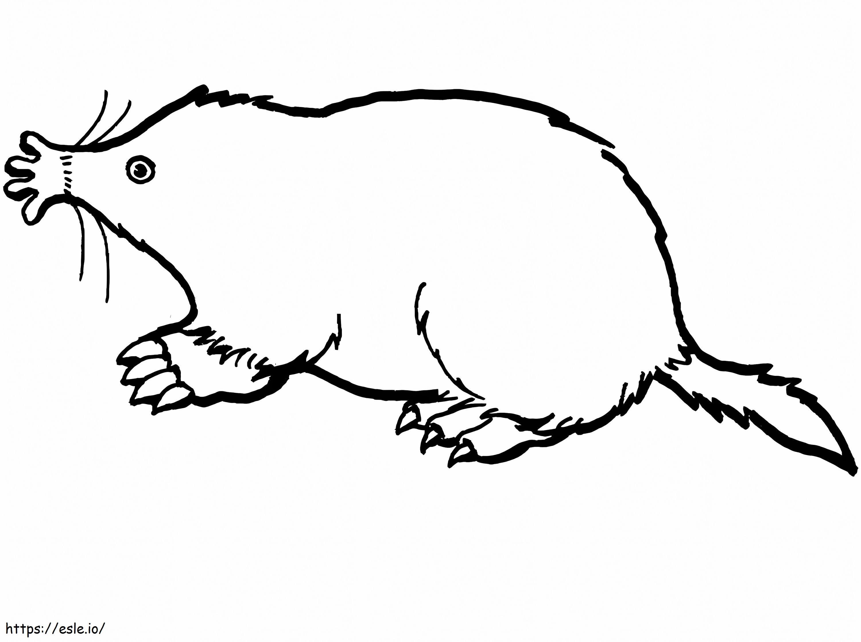 Free mole coloring page