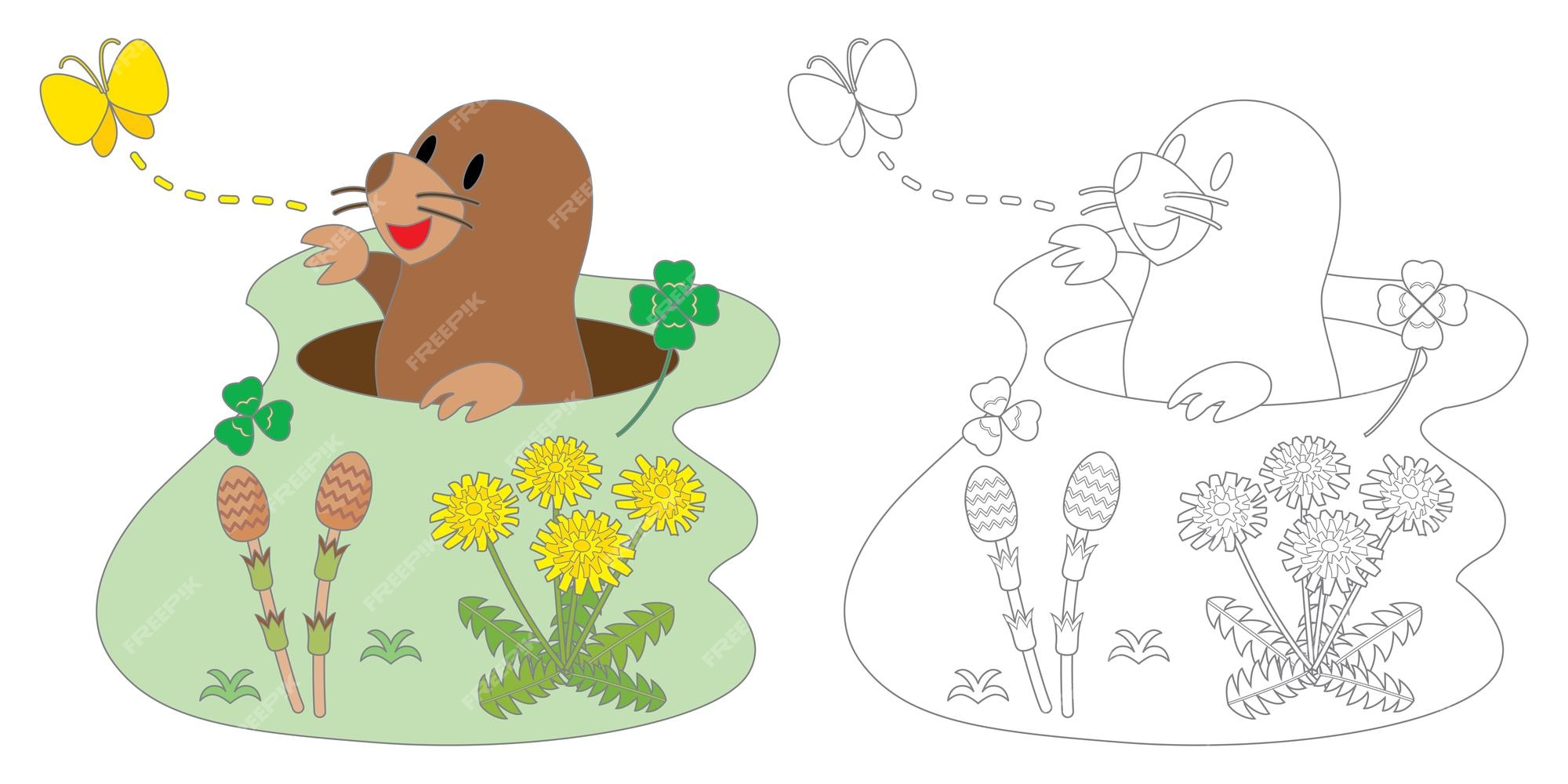 Premium vector line for coloring of a mole horsetails and dandelions coloring book for children