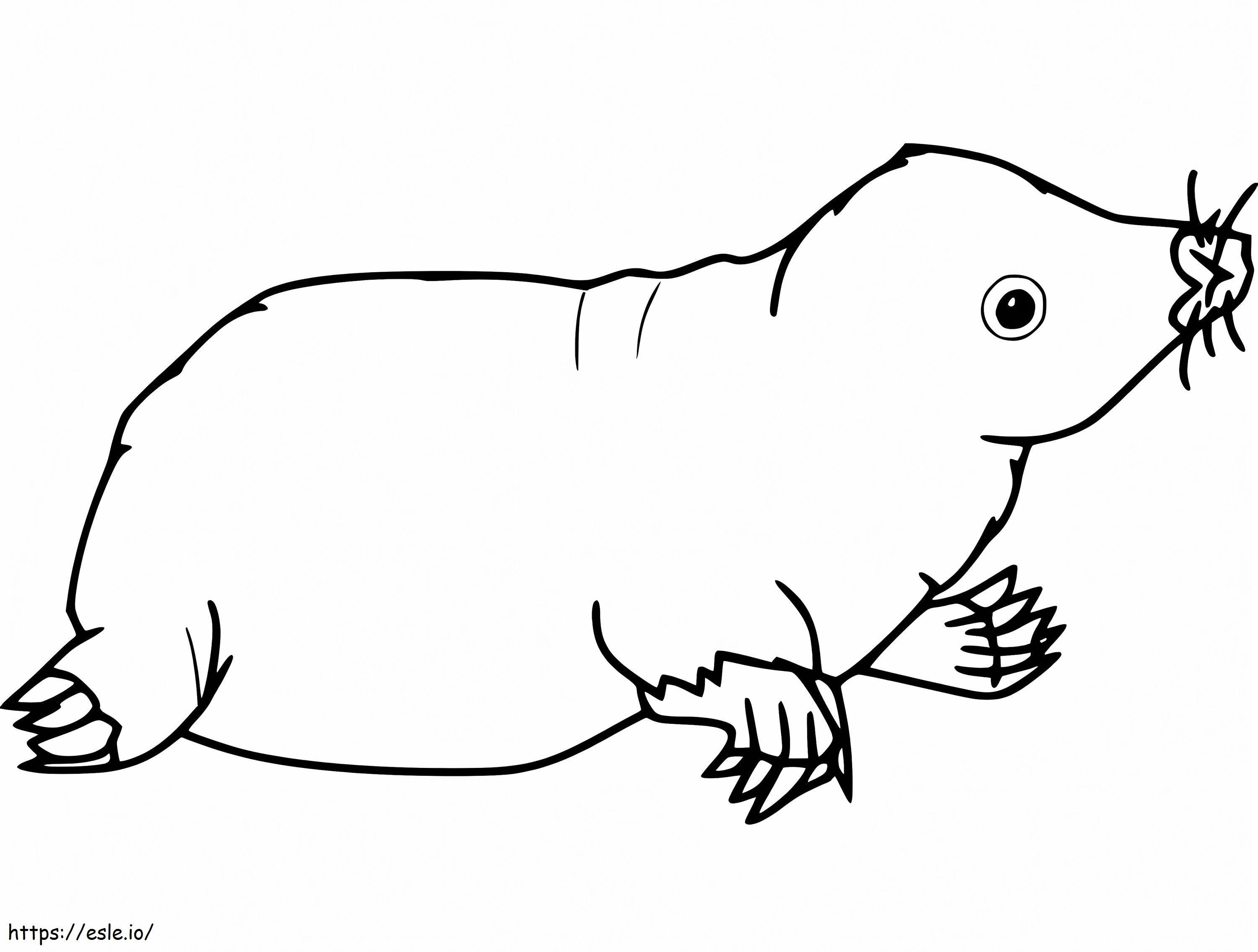 Funny mole coloring page