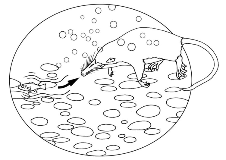 Coloring page water mole senses vibrations