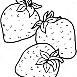 Strawberry coloring pages printable for free download