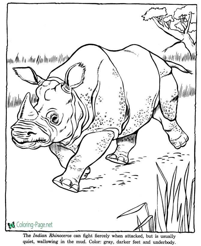 Rhinoceros coloring pages zoo