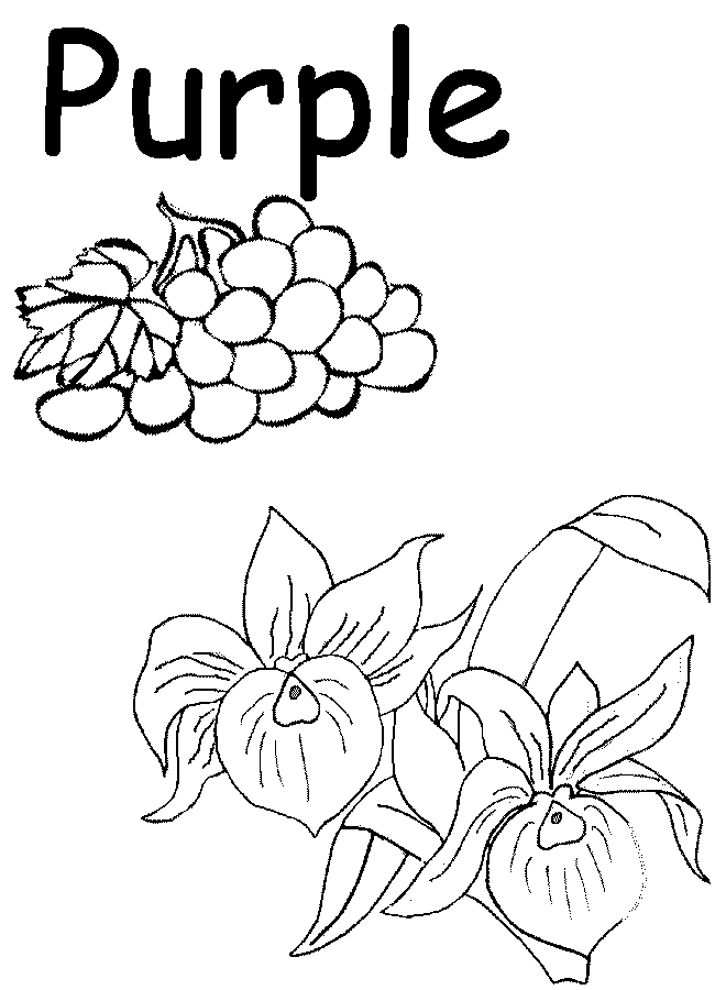 Purple coloring page color worksheets for preschool kindergarten coloring pages color worksheets