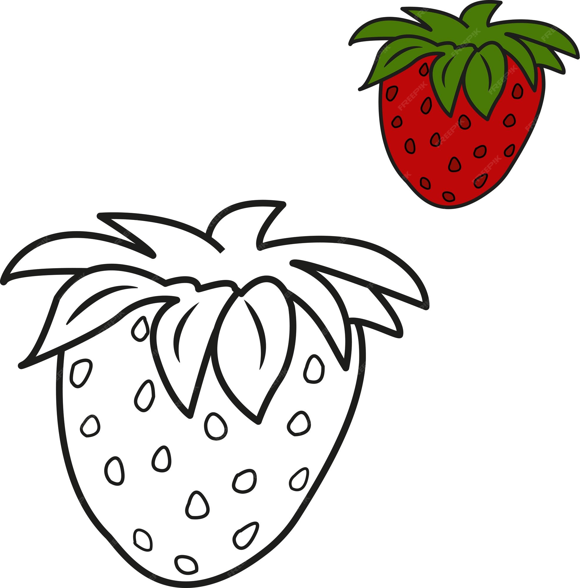 Premium vector ripe strawberry for kids coloring book