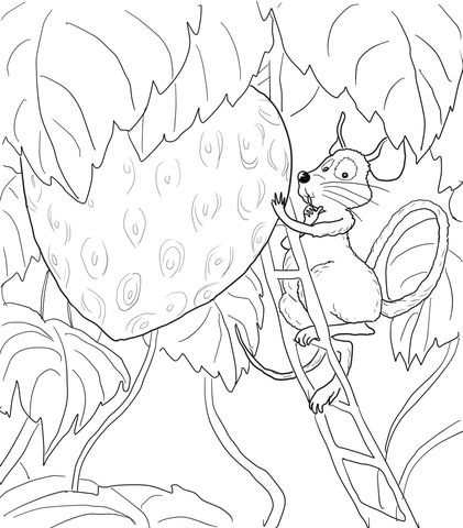 The little mouse the red ripe strawberry and the big hungry bear coloring page free printaâ bear coloring pages free printable coloring pages coloring pages