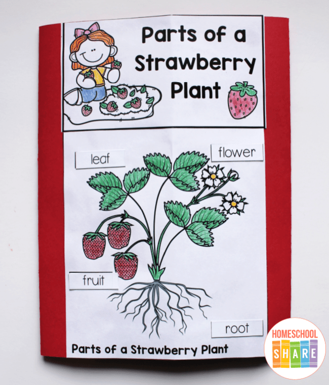 The little mouse the red ripe strawberry and the big hungry bear printables
