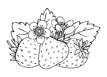 Premium vector strawberry bunch of three berries coloring book page whole ripe wild forest berry with leaves and blossom flowers tasty sweet fresh fruit juicy strawberries handdrawn clip art black white sketch