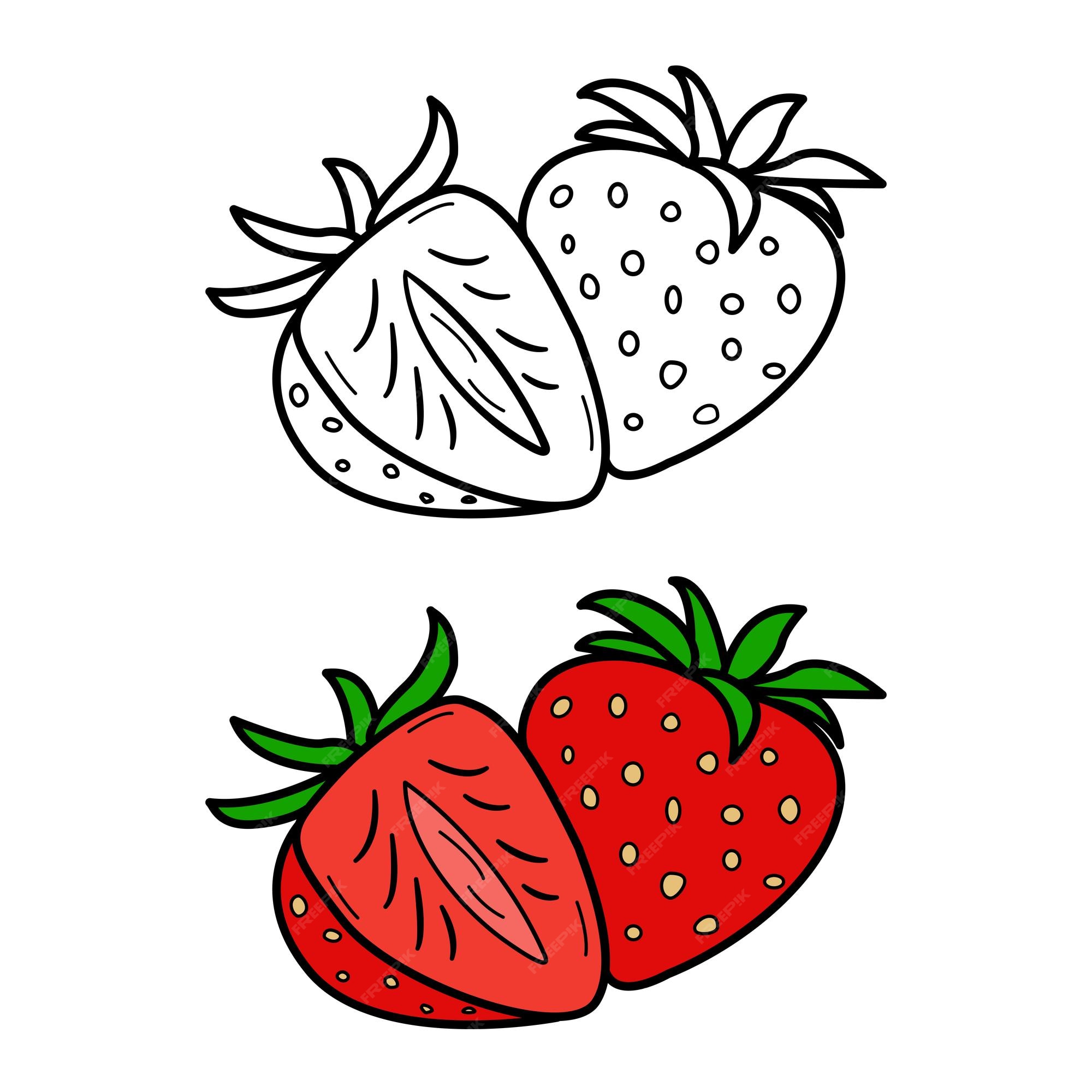 Premium vector ripe strawberry for coloring page
