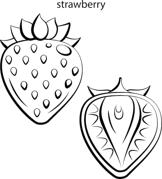 Premium vector ripe strawberry for kids coloring book