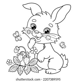 Strawberry coloring page images stock photos d objects vectors