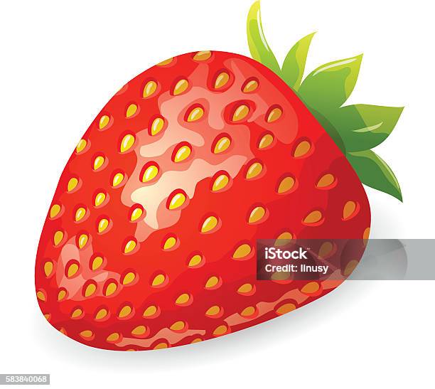 Red ripe strawberry stock illustration