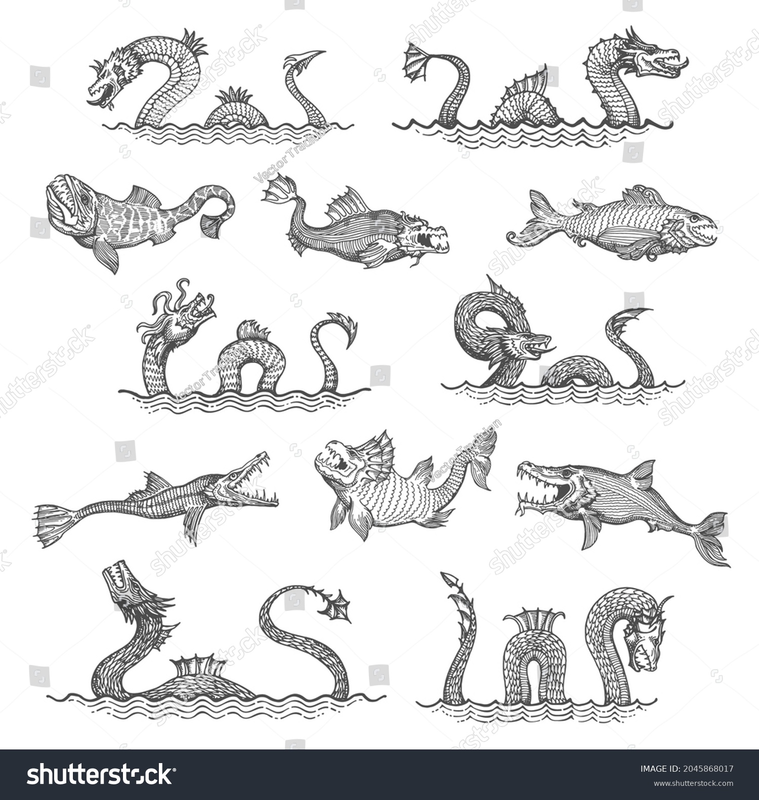 Sea monster images stock photos d objects vectors