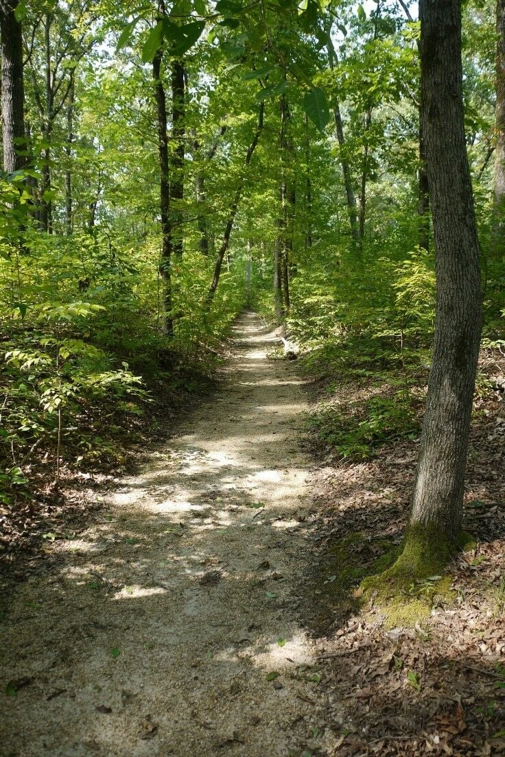 Miles on the natchez trace parkway â the good hearted woman