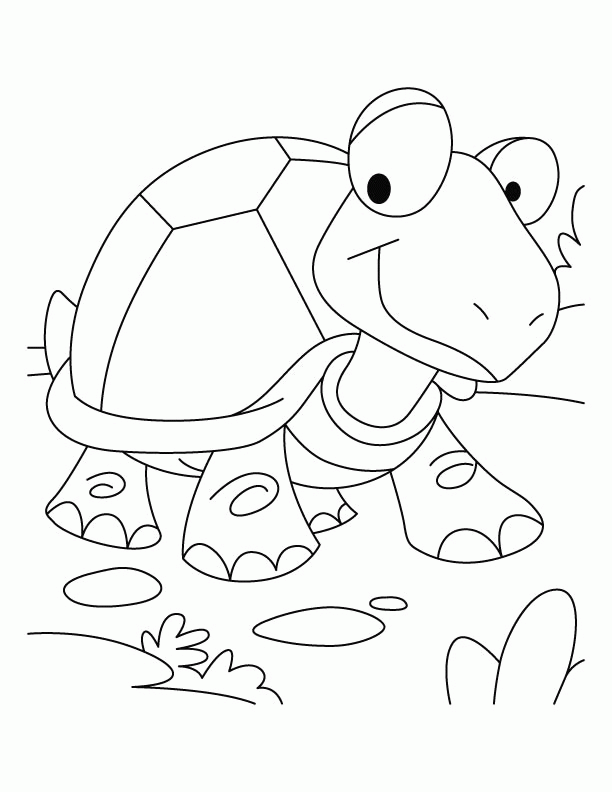 Free tortoise and the hare coloring pages download free tortoise and the hare coloring pages png images free cliparts on clipart library